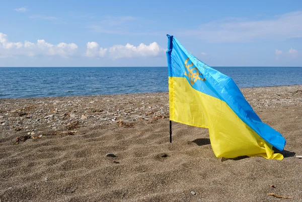 Bandera de Ucrania en el contexto del mar en la costa de — Foto de Stock