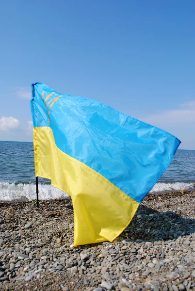 Bandera de Ucrania en el contexto del mar en la costa de — Foto de Stock