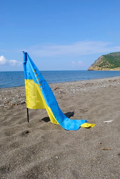 Flag of Ukraine against the backdrop of the sea on the coast of — Stock Photo, Image