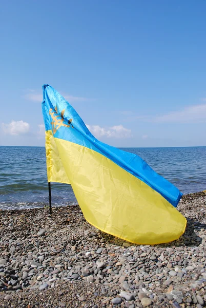 Флаг Украины на фоне моря на берегу моря — стоковое фото