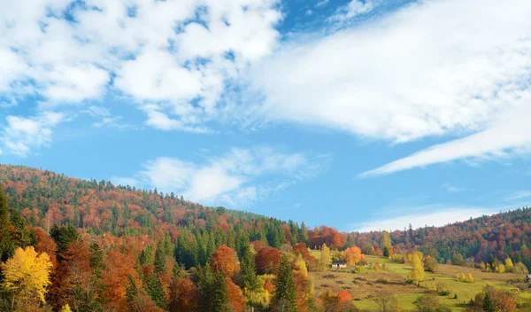 Krásná krajina s barevné podzimní stromy v horách kapr — Stock fotografie