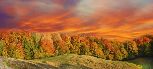 Paisaje otoñal escénico en el bosque de coliflor de las montañas (rel — Foto de Stock