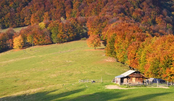 Paisaje otoñal escénico con cabaña de madera vieja en bosque otoñal (re — Foto de Stock