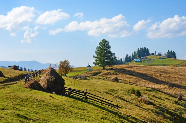Picturesque autumn rural landscape with haystacks on the backgro — Stock Photo, Image