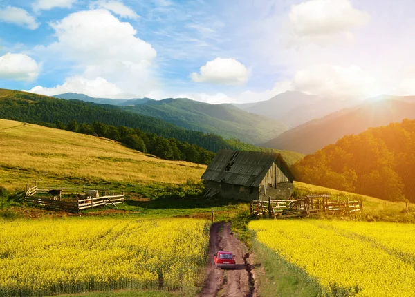 Bela paisagem em montanhas com campos amarelos e céu azul — Fotografia de Stock