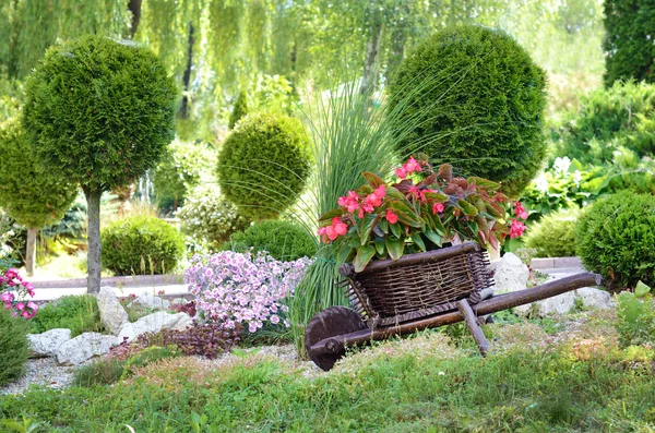 Manden van bloemen op een kleine kar op een zonnige dag — Stockfoto