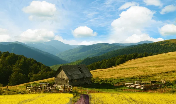 Hermoso paisaje en montañas con campos amarillos y cielo azul —  Fotos de Stock