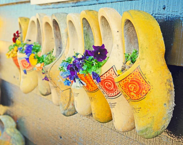 Традиційне національне дерев'яне взуття Кломп як вазони — стокове фото
