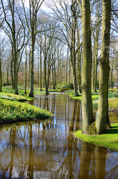 Beautiful landscape with trees along the creek with water