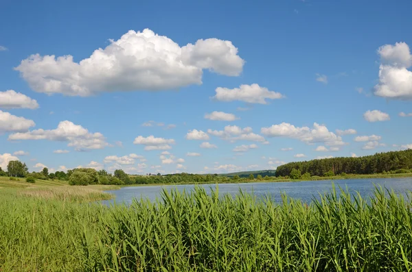 Vackert landskap med vass och moln över poolen (harmony — Stockfoto