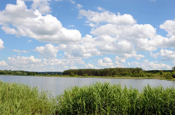 Vackert landskap med vass och moln över poolen (harmony — Stockfoto