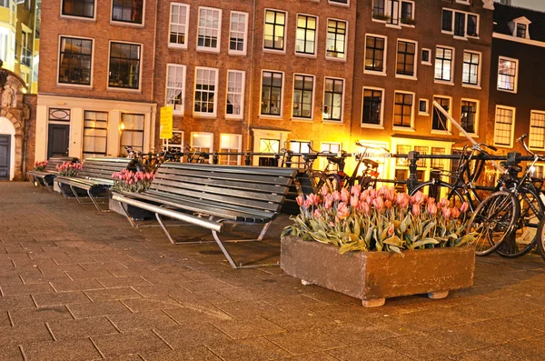 Buiten landschap met banken en tulpen en stuk van gevels o — Stockfoto