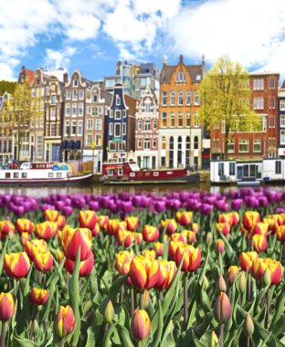 Lale ve Amsterdam, Hollanda evleri ile güzel manzara