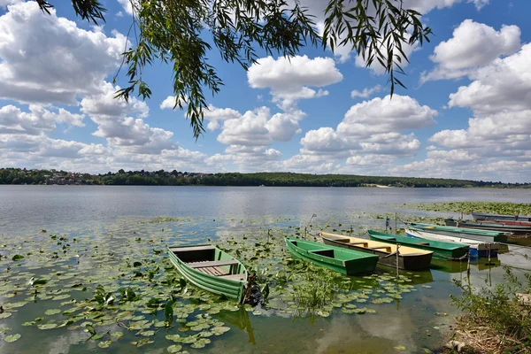 Mystiska landskap med båtar bland näckrosor på en damm på en — Stockfoto