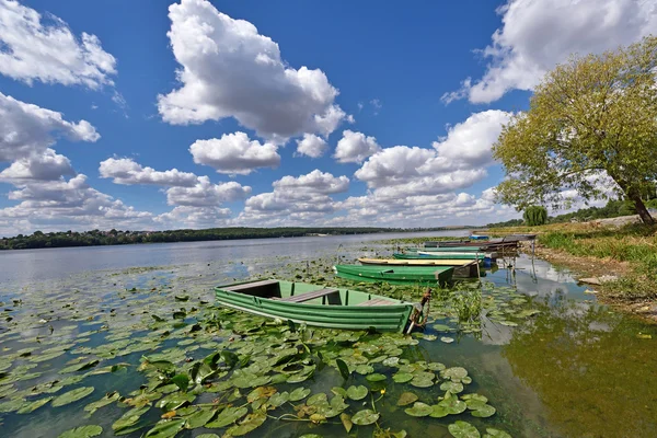 Paisaje místico con barcos entre lirios de agua en un estanque en un — Foto de Stock