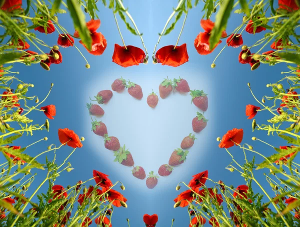 Valentine card as heart with poppies (February 14, love) — Stock Photo, Image