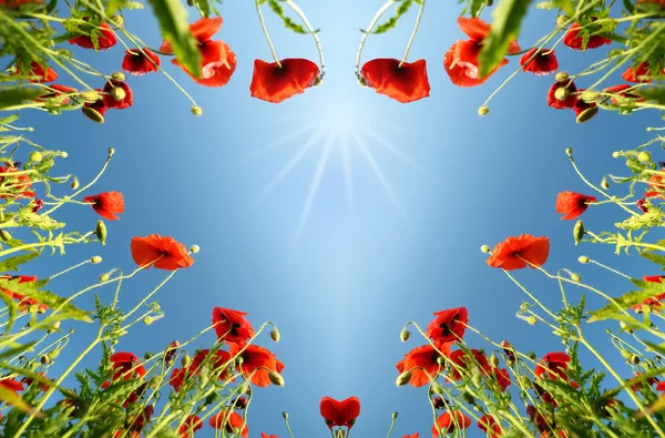 Valentine as heart with poppies (February 14, love) — Stock Photo, Image