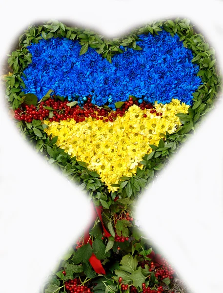 Symbol of love - heart in the colors of the national flag of Ukr — Stock Photo, Image