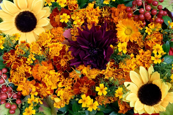 Flower arrangement of marigolds, sunflowers and red Kalina — стокове фото