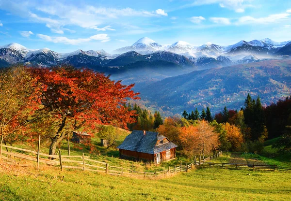 Pintoresco paisaje rural otoñal con un árbol con hojas rojas , — Foto de Stock