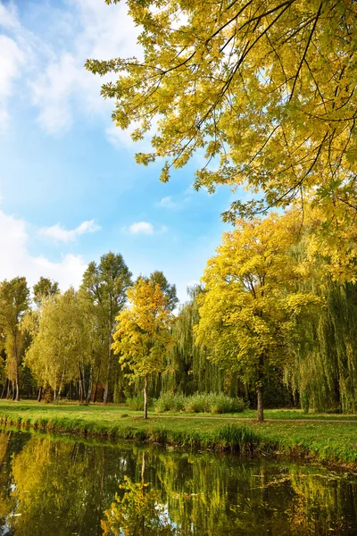 Fantastiska Höstlandskap med gula träd nära dammen (resten — Stockfoto