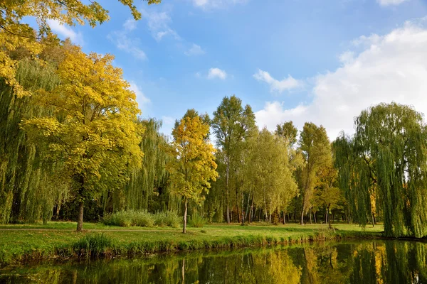 Fantastiska Höstlandskap med gula träd nära dammen (resten — Stockfoto