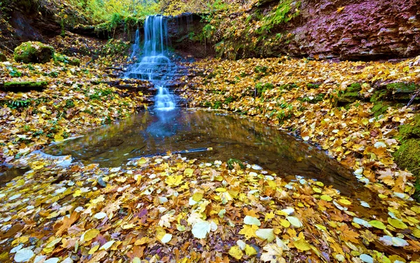Märchenwiese im Herbstwald mit Wasserfall und Blattgold. ( — Stockfoto