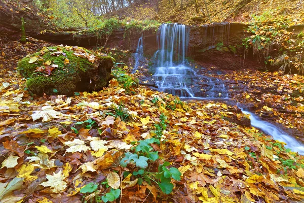 Beautiful landscape with a waterfall in the autumn woods. (vacat — Stock Photo, Image