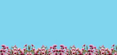 Güzel doğal arka plan ile çiçek magnolia için selamlar 