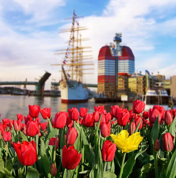 船 o の背景に花模様の美しい風景 — ストック写真