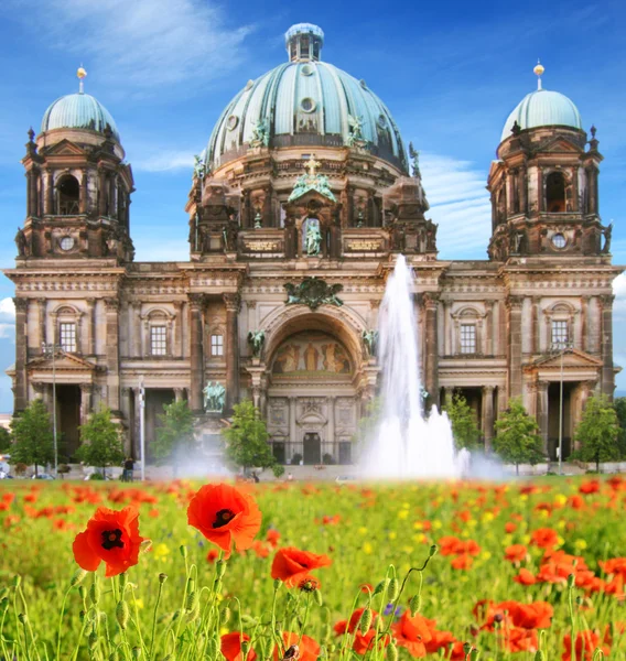 Bellissimo paesaggio con papaveri e Cattedrale di Berlino (Berliner — Foto Stock