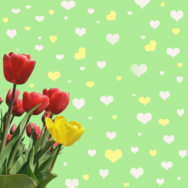 Abstrakt fundo com tulipas para cumprimentar com um Valente Feliz — Fotografia de Stock