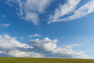 Yazın yeşil buğday tarlasında bulutlar.