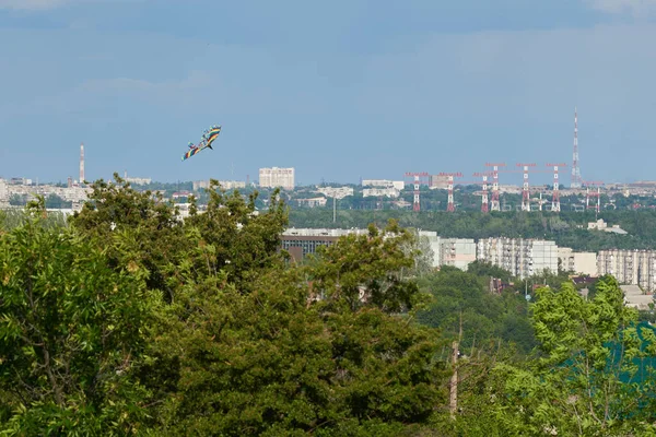 Kite Tree City — Stock Photo, Image