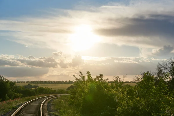 Demiryolu ağaçlar arasında dönüyor, yüksek kontrastlı.