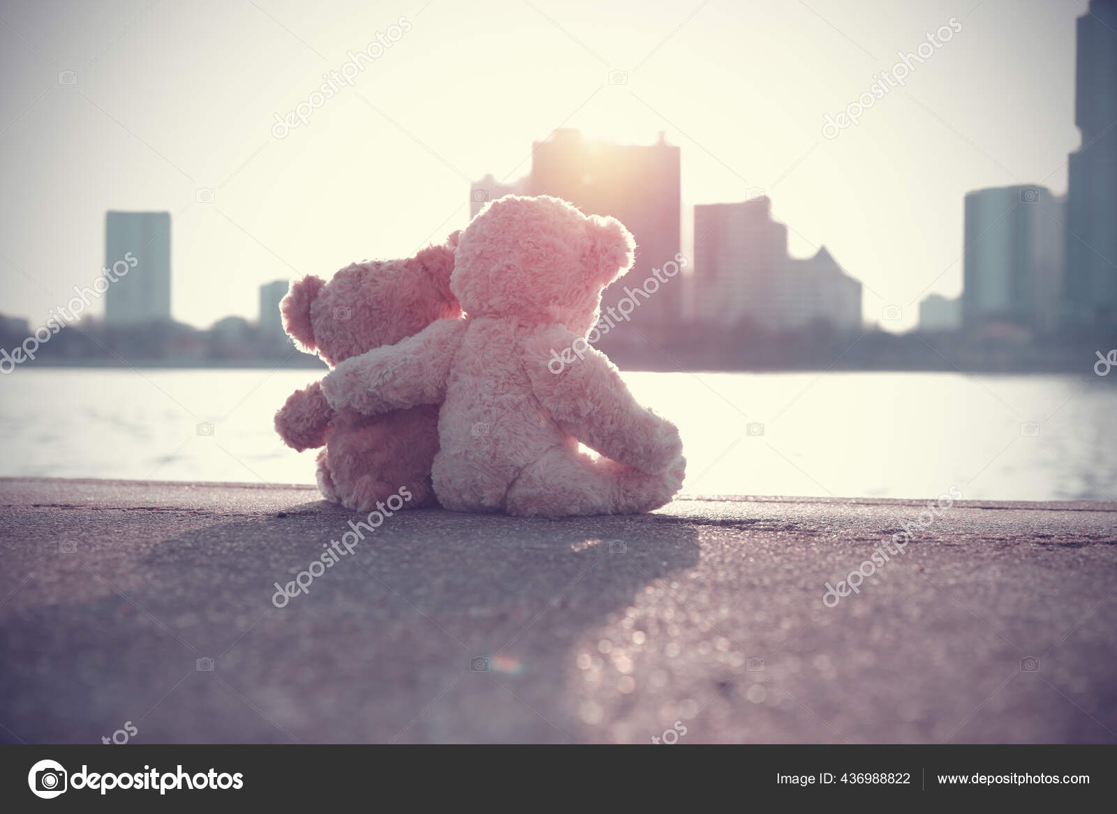 Mignon Deux Ours Peluche Assis Câlin Prendre Soin Montrer L'amour — Photo  de stock par ©Nanthaphiphatwatto - 436988822, image size:1600x1167