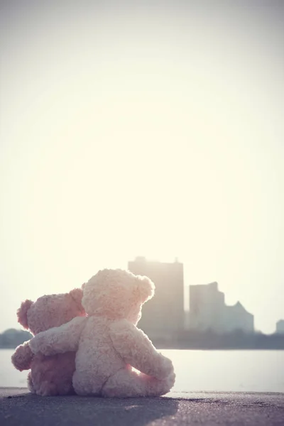 Симпатичные Два Плюшевых Медведя Сидят Обнимашки Заботятся Показать Любовь Солнечный — стоковое фото