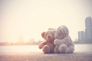 Aşk Çifti Konsepti, Sevgililer Günü. Açık kahverengi oyuncak ayıya odaklan. Sarılma ve dikkat et. Koyu kahverengi oyuncak ayı yerde oturuyor..