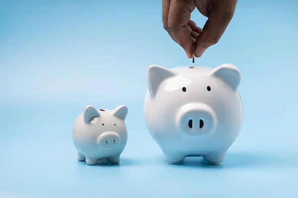 Hand man holding putting money coin into white piggy banks for saving money on blue background with copy space. Concept investment, save money in the future, and finance.