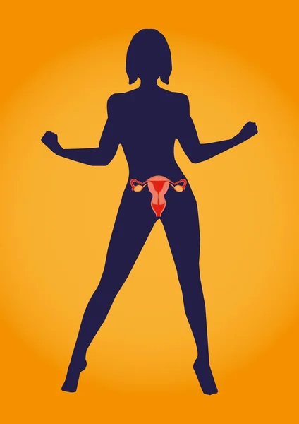 Медицинская инфография. Внутренняя женская репродуктивная система в человеческом теле — стоковый вектор