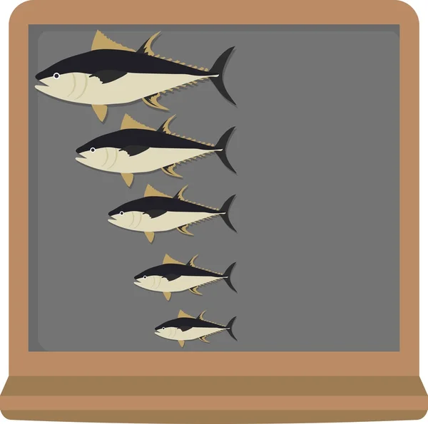 Fish sizes from big to small on blackboard — Stock Vector