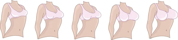 Taille de poitrine de femme. Seins tailles de petite à grande . — Image vectorielle