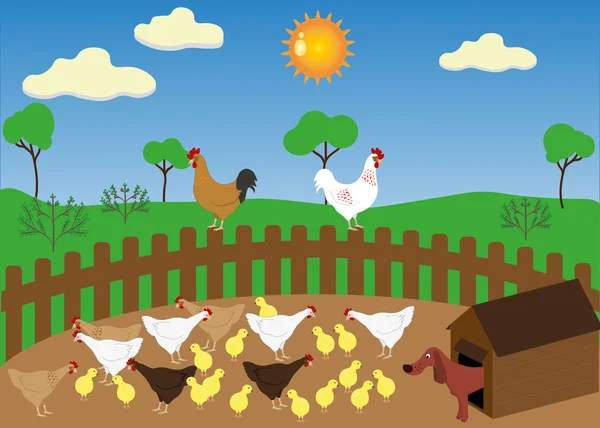 Çiftlik tavuk manzara — Stok Vektör