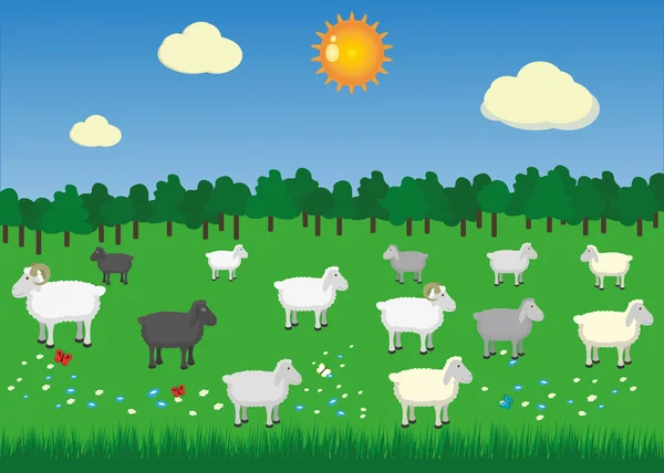 Moutons et béliers dans les pâturages avec soleil d'été — Image vectorielle