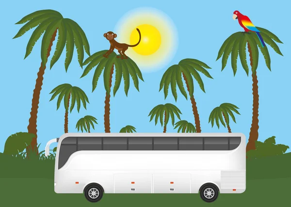 Bus turistico nella giungla safari — Foto Stock