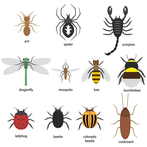 Zbiór różnych owadów — Wektor stockowy