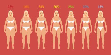 Stages of woman slim with fat percent clipart
