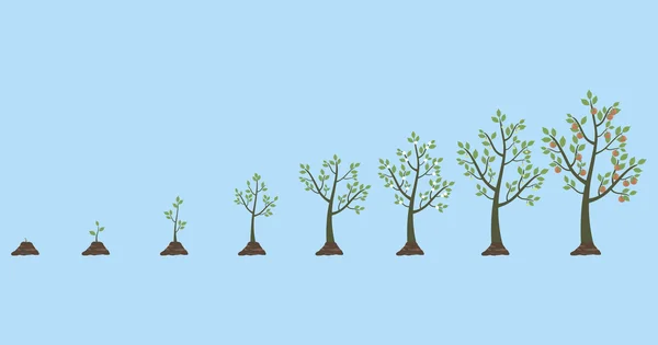 Illustration vectorielle de la croissance des arbres isolés sur blanc — Image vectorielle