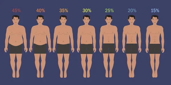 Етапи чоловіка тонкі з жирними відсотками — стоковий вектор