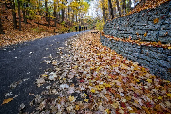 Toronto Ontario Canadá 2020 Color Las Hojas Otoño Parque Público —  Fotos de Stock